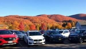 low cost car insurance